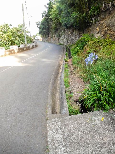 Levada do Cortado — Weiter bis zur Abzweigung des östlichen Astes — Foto 1