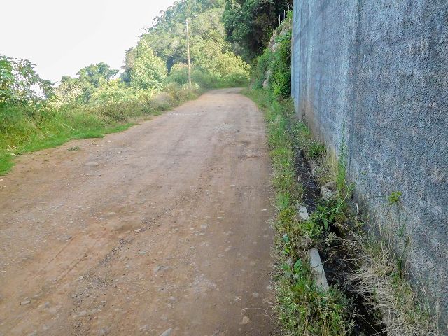 Levada do Cortado — Weiter bis zur Abzweigung des östlichen Astes — Foto 3