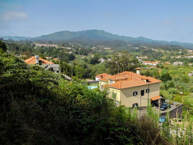 13 August 2017 Levada discoveries around Santana and a detour to Ponta do Clerigo — Along the road to the junction of the eastern side branch of the Levada do Cortado — photo 4