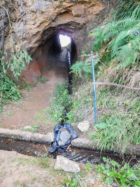 Levada do Cortado — Weiter bis zur Abzweigung des östlichen Astes — Foto 4