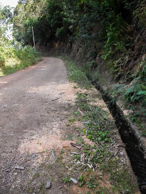 Levada do Cortado — Der Hauptast — Foto 1