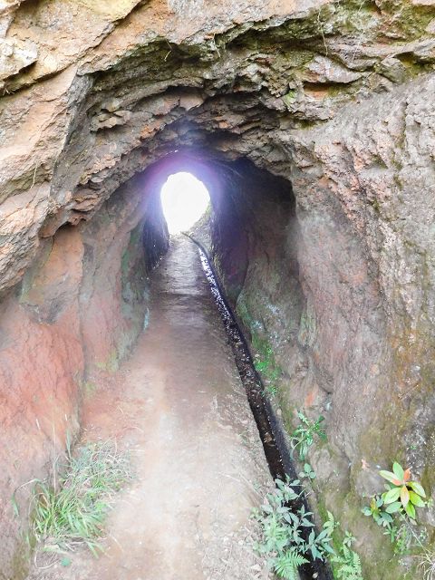13 August 2017 Levada discoveries around Santana and a detour to Ponta do Clerigo — On the eastern side branch of the Levada do Cortado — photo 3