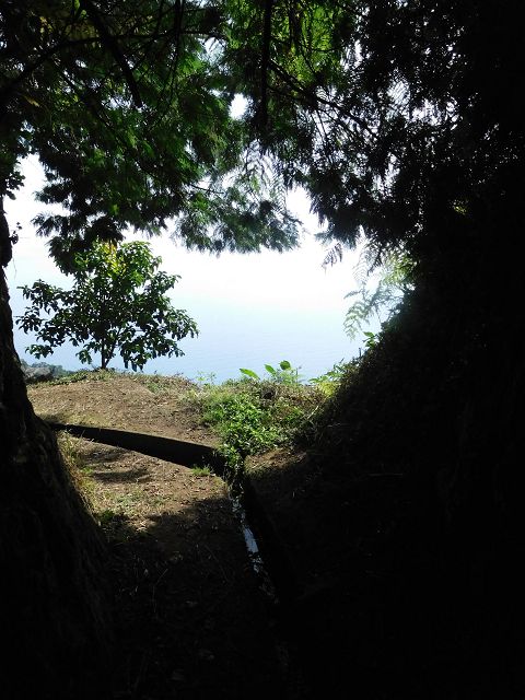 13 August 2017 Levada discoveries around Santana and a detour to Ponta do Clerigo — On the eastern side branch of the Levada do Cortado — photo 4