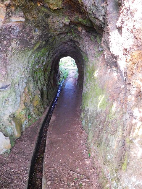 Levada do Cortado — Weiter bis zur Abzweigung des östlichen Astes — Foto 5
