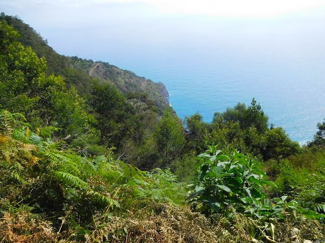 13 August 2017 Levada discoveries around Santana and a detour to Ponta do Clerigo — On the eastern side branch of the Levada do Cortado — photo 6