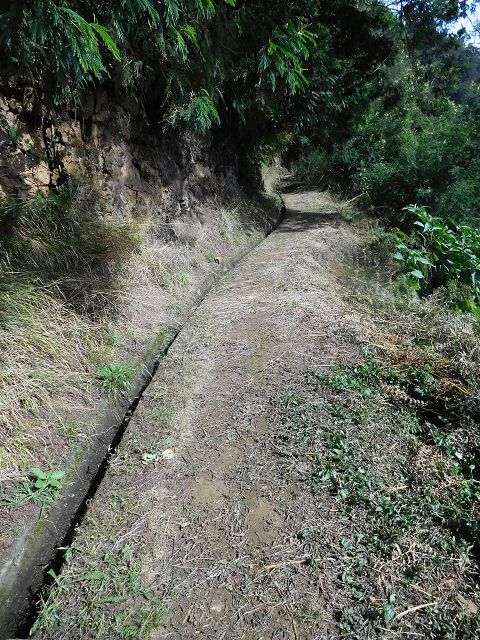Levada do Cortado — Der östliche Ast — Foto 1