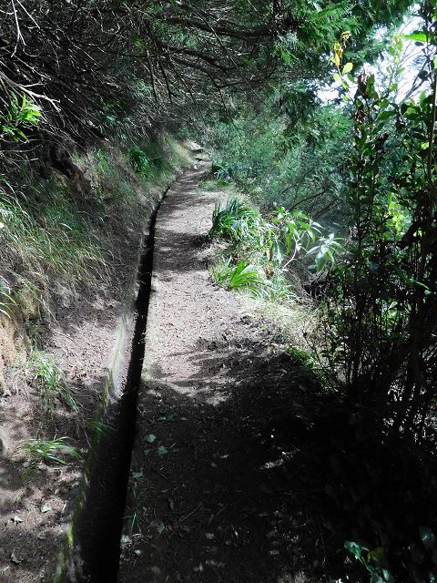 Levada do Cortado — Der östliche Ast — Foto 2