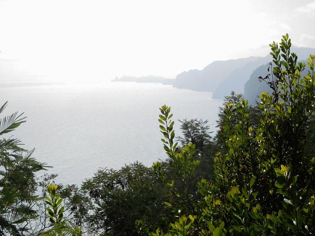 13 August 2017 Levada discoveries around Santana and a detour to Ponta do Clerigo — On the eastern side branch of the Levada do Cortado — photo 9