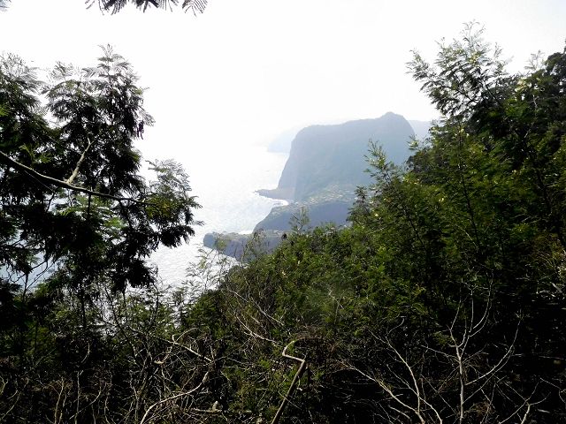 Levada do Cortado — Der östliche Ast — Foto 3
