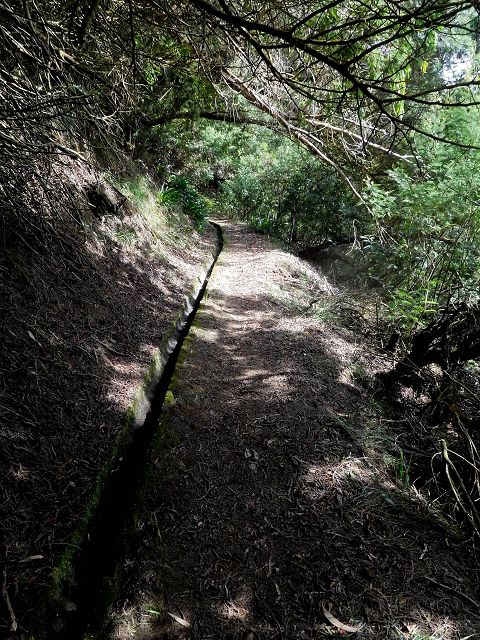 Levada do Cortado — Der östliche Ast — Foto 4