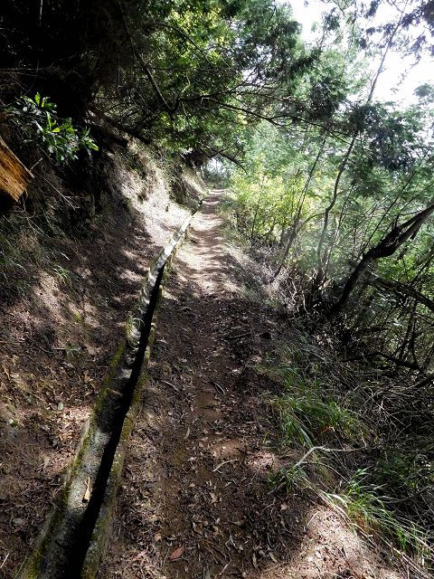 13 August 2017 Levada discoveries around Santana and a detour to Ponta do Clerigo — On the eastern side branch of the Levada do Cortado — photo 12