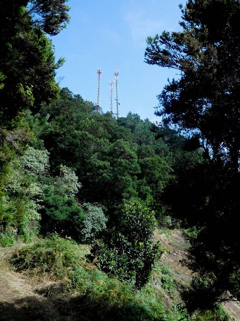 13 August 2017 Levada discoveries around Santana and a detour to Ponta do Clerigo — On the eastern side branch of the Levada do Cortado — photo 13