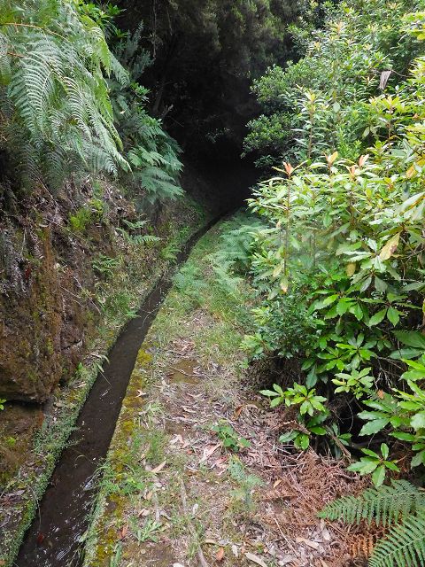Levada do Cortado — Weiter bis zur Kreuzung mit der ER-213 — Foto 4