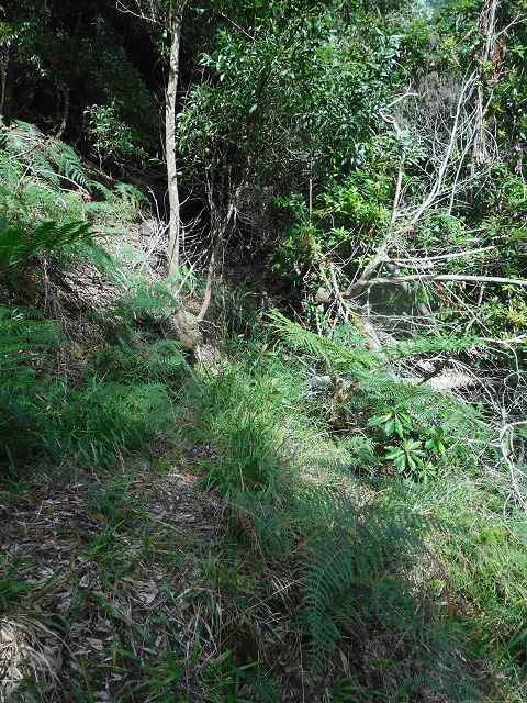 13 August 2017 Levada discoveries around Santana and a detour to Ponta do Clerigo — Descent and ascent to Ponta do Clerigo — photo 1