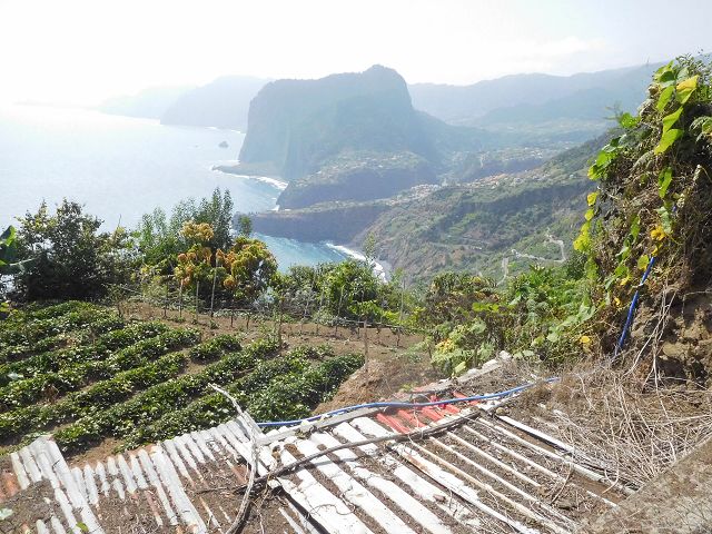13 August 2017 Levada discoveries around Santana and a detour to Ponta do Clerigo — Descent and ascent to Ponta do Clerigo — photo 2