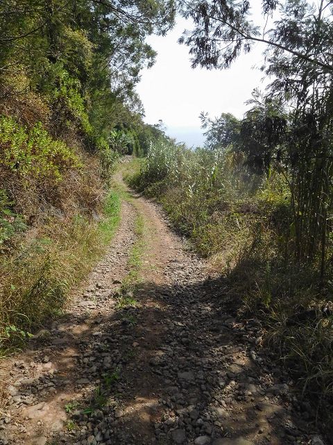 13 August 2017 Levada discoveries around Santana and a detour to Ponta do Clerigo — Descent and ascent to Ponta do Clerigo — photo 3