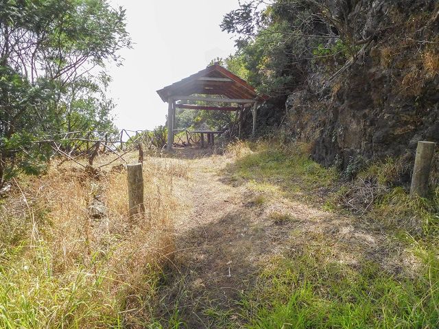 13 August 2017 Levada discoveries around Santana and a detour to Ponta do Clerigo — Descent and ascent to Ponta do Clerigo — photo 9