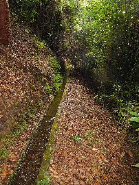 13 August 2017 Levada discoveries around Santana and a detour to Ponta do Clerigo — From Cortado to the Madre of the Levada do Cortado and back to the crossing with the ER-213 — photo 9