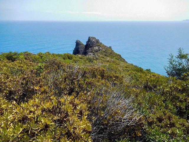 13 August 2017 Levada discoveries around Santana and a detour to Ponta do Clerigo — Descent and ascent to Ponta do Clerigo — photo 22