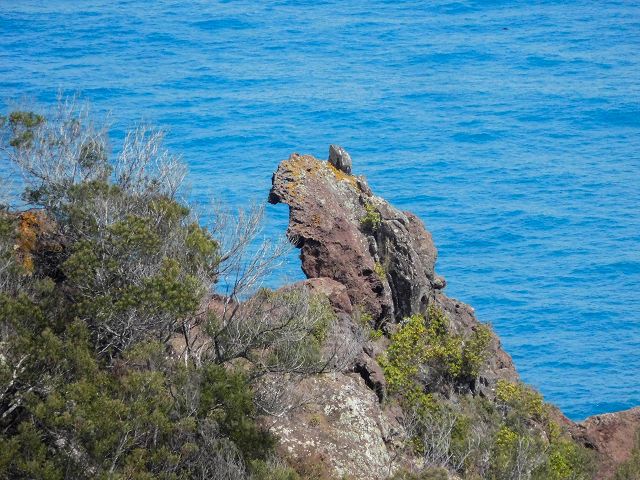 13 August 2017 Levada discoveries around Santana and a detour to Ponta do Clerigo — Descent and ascent to Ponta do Clerigo — photo 23