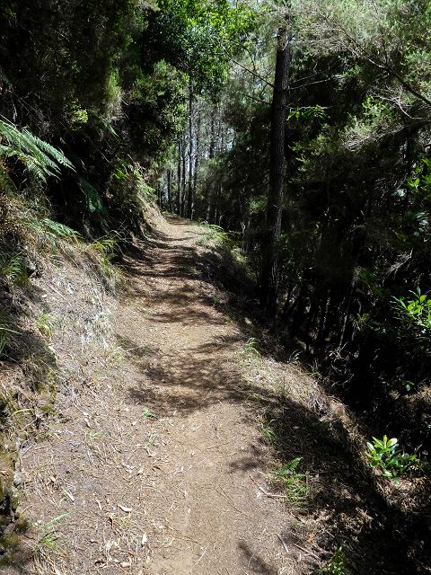 13 August 2017 Levada discoveries around Santana and a detour to Ponta do Clerigo — To Cortado and down to the main branch of the Levada do Cortado — photo 1