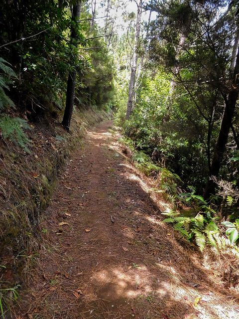 13 August 2017 Levada discoveries around Santana and a detour to Ponta do Clerigo — To Cortado and down to the main branch of the Levada do Cortado — photo 2