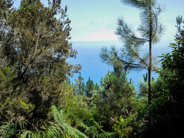 13 August 2017 Levada discoveries around Santana and a detour to Ponta do Clerigo — To Cortado and down to the main branch of the Levada do Cortado — photo 3