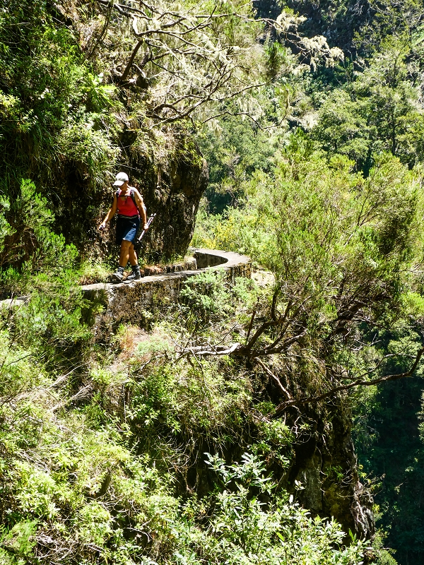 14.05.2019 Wieder einmal in einem meiner Lieblingsgebiete unterwegs: Faja da Nogueira — Der erste Teil bis zur Ribeira da Faja da Nogueira — Foto 49
