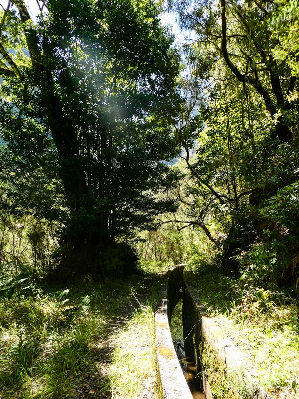 14.05.2019 Wieder einmal in einem meiner Lieblingsgebiete unterwegs: Faja da Nogueira — Der erste Teil bis zur Ribeira da Faja da Nogueira — Foto 51