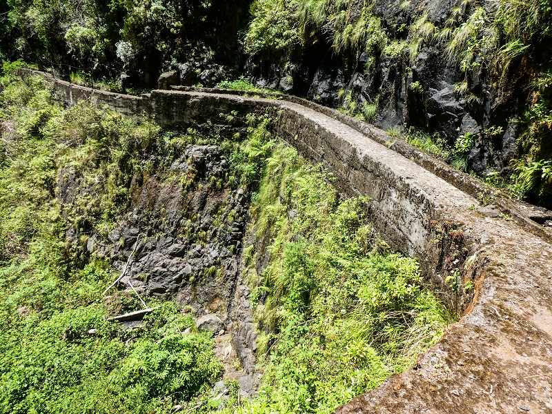 14.05.2019 Wieder einmal in einem meiner Lieblingsgebiete unterwegs: Faja da Nogueira — Der erste Teil bis zur Ribeira da Faja da Nogueira — Foto 52