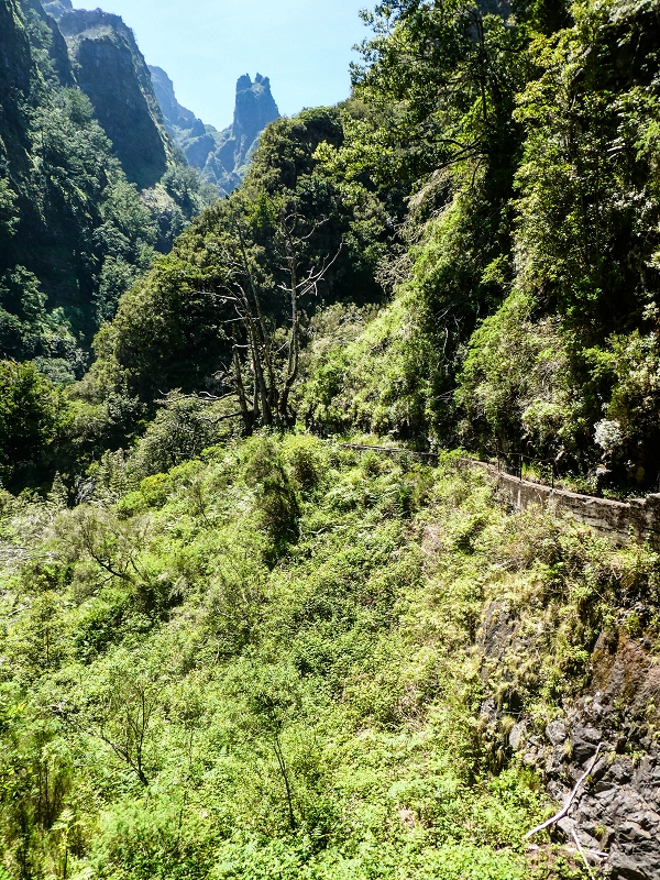14.05.2019 Wieder einmal in einem meiner Lieblingsgebiete unterwegs: Faja da Nogueira — Der erste Teil bis zur Ribeira da Faja da Nogueira — Foto 53