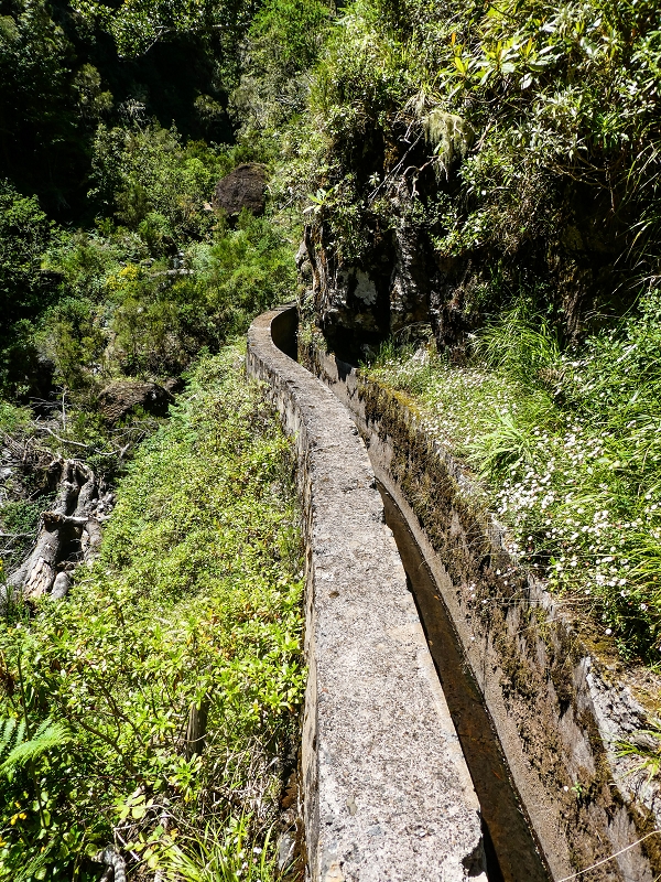14.05.2019 Wieder einmal in einem meiner Lieblingsgebiete unterwegs: Faja da Nogueira — Der erste Teil bis zur Ribeira da Faja da Nogueira — Foto 54