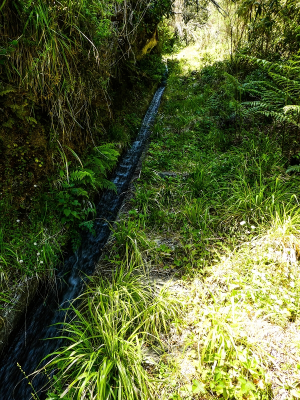 14.05.2019 Wieder einmal in einem meiner Lieblingsgebiete unterwegs: Faja da Nogueira — Der erste Teil bis zur Ribeira da Faja da Nogueira — Foto 56