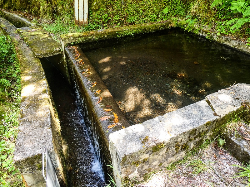14.05.2019 Wieder einmal in einem meiner Lieblingsgebiete unterwegs: Faja da Nogueira — Der erste Teil bis zur Ribeira da Faja da Nogueira — Foto 57