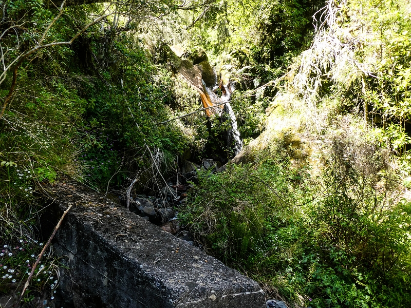 14.05.2019 Wieder einmal in einem meiner Lieblingsgebiete unterwegs: Faja da Nogueira — Der erste Teil bis zur Ribeira da Faja da Nogueira — Foto 58