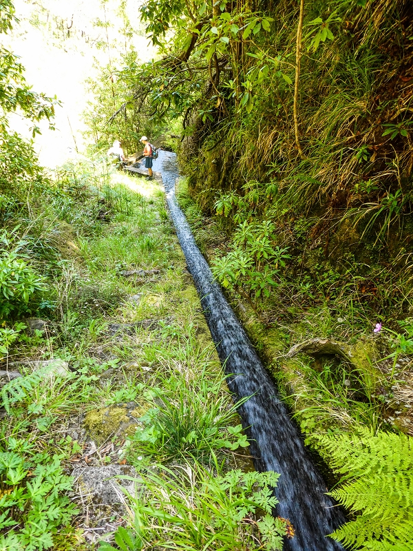 14.05.2019 Wieder einmal in einem meiner Lieblingsgebiete unterwegs: Faja da Nogueira — Der erste Teil bis zur Ribeira da Faja da Nogueira — Foto 59