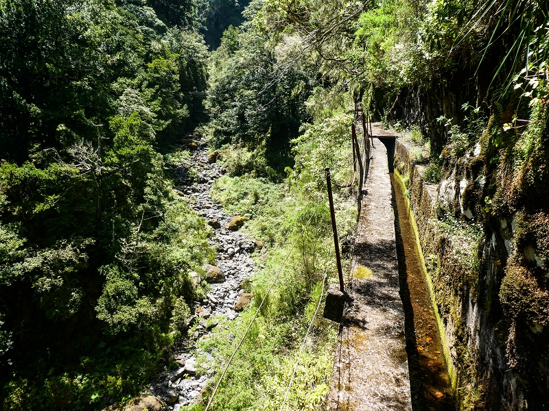 14.05.2019 Wieder einmal in einem meiner Lieblingsgebiete unterwegs: Faja da Nogueira — Der erste Teil bis zur Ribeira da Faja da Nogueira — Foto 60