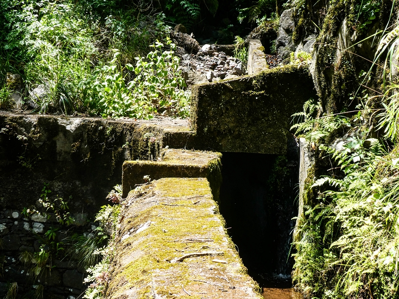 14.05.2019 Wieder einmal in einem meiner Lieblingsgebiete unterwegs: Faja da Nogueira — Der erste Teil bis zur Ribeira da Faja da Nogueira — Foto 61
