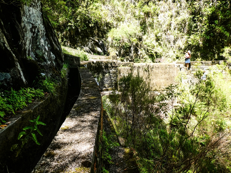 14.05.2019 Wieder einmal in einem meiner Lieblingsgebiete unterwegs: Faja da Nogueira — Der erste Teil bis zur Ribeira da Faja da Nogueira — Foto 62