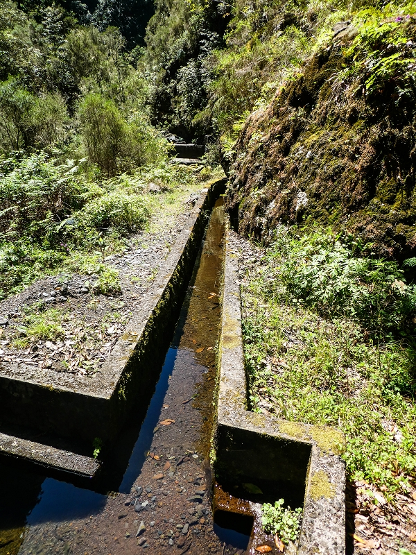 14.05.2019 Wieder einmal in einem meiner Lieblingsgebiete unterwegs: Faja da Nogueira — Die Brücke mit den beiden zuführenden Levadas — Foto 2