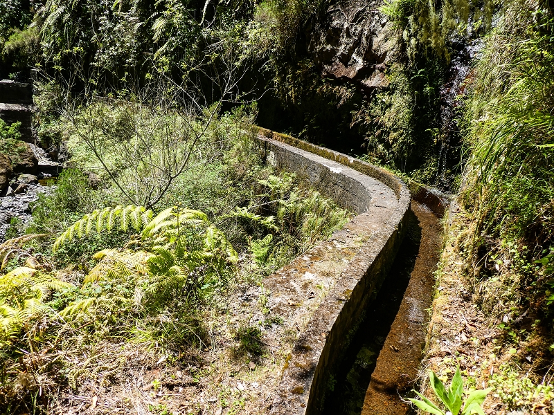 14.05.2019 Wieder einmal in einem meiner Lieblingsgebiete unterwegs: Faja da Nogueira — Die Brücke mit den beiden zuführenden Levadas — Foto 3