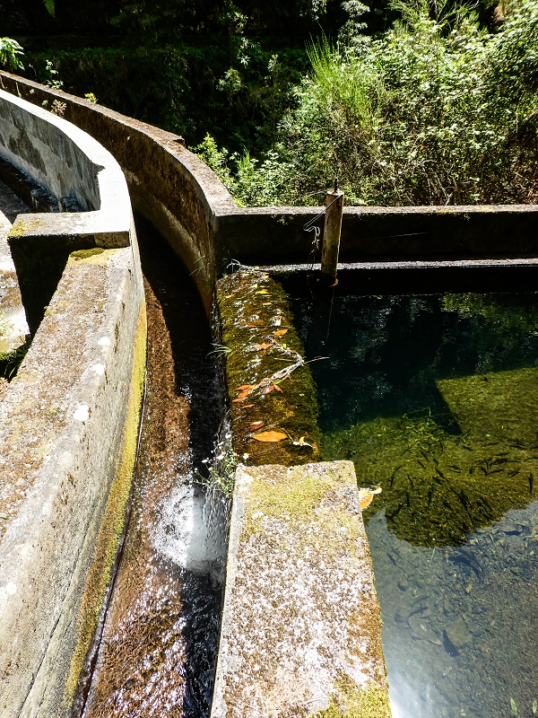 14.05.2019 Wieder einmal in einem meiner Lieblingsgebiete unterwegs: Faja da Nogueira — Die Brücke mit den beiden zuführenden Levadas — Foto 11