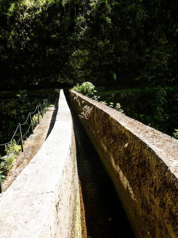 14.05.2019 Wieder einmal in einem meiner Lieblingsgebiete unterwegs: Faja da Nogueira — Die Brücke mit den beiden zuführenden Levadas — Foto 12