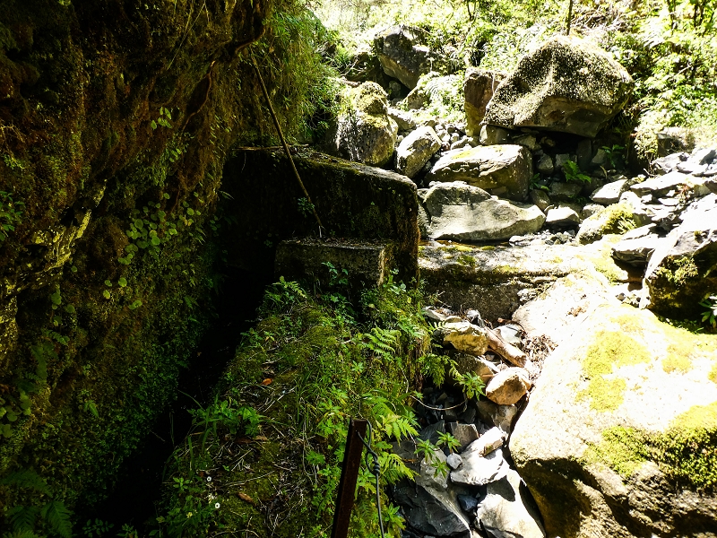 14.05.2019 Wieder einmal in einem meiner Lieblingsgebiete unterwegs: Faja da Nogueira — Die Brücke mit den beiden zuführenden Levadas — Foto 15