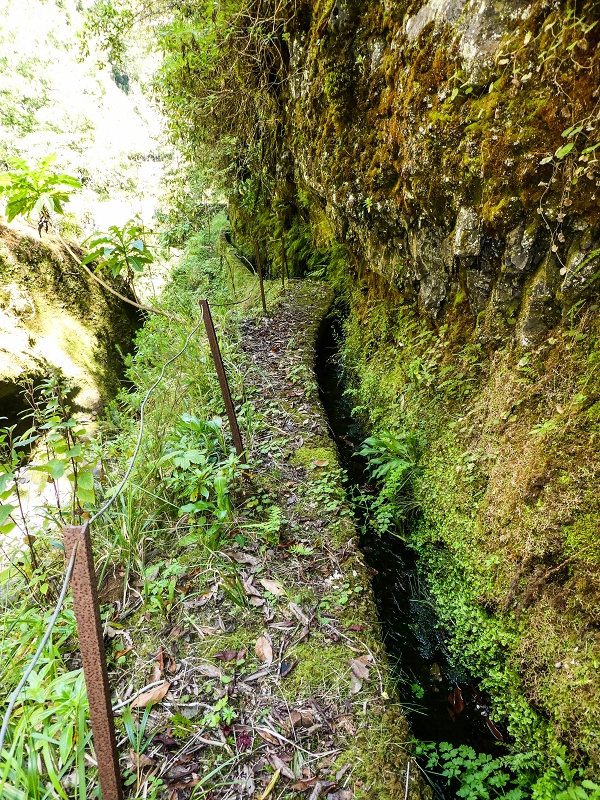14.05.2019 Wieder einmal in einem meiner Lieblingsgebiete unterwegs: Faja da Nogueira — Die Brücke mit den beiden zuführenden Levadas — Foto 16