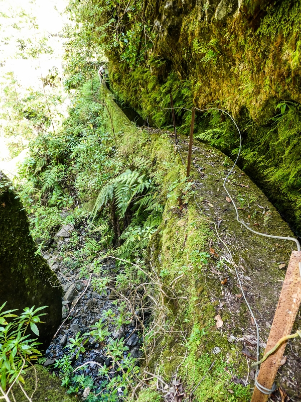 14.05.2019 Wieder einmal in einem meiner Lieblingsgebiete unterwegs: Faja da Nogueira — Die Brücke mit den beiden zuführenden Levadas — Foto 18