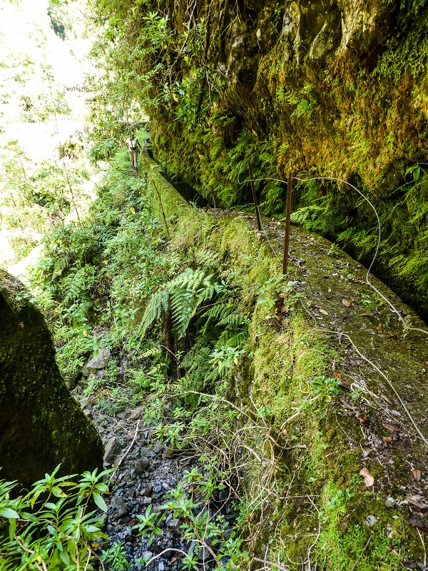 14.05.2019 Wieder einmal in einem meiner Lieblingsgebiete unterwegs: Faja da Nogueira — Die Brücke mit den beiden zuführenden Levadas — Foto 19