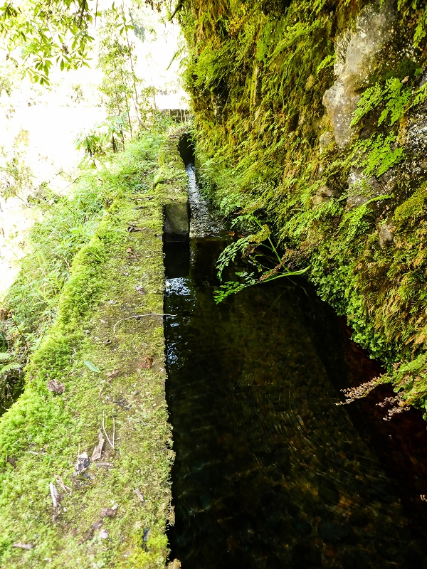 14.05.2019 Wieder einmal in einem meiner Lieblingsgebiete unterwegs: Faja da Nogueira — Die Brücke mit den beiden zuführenden Levadas — Foto 20