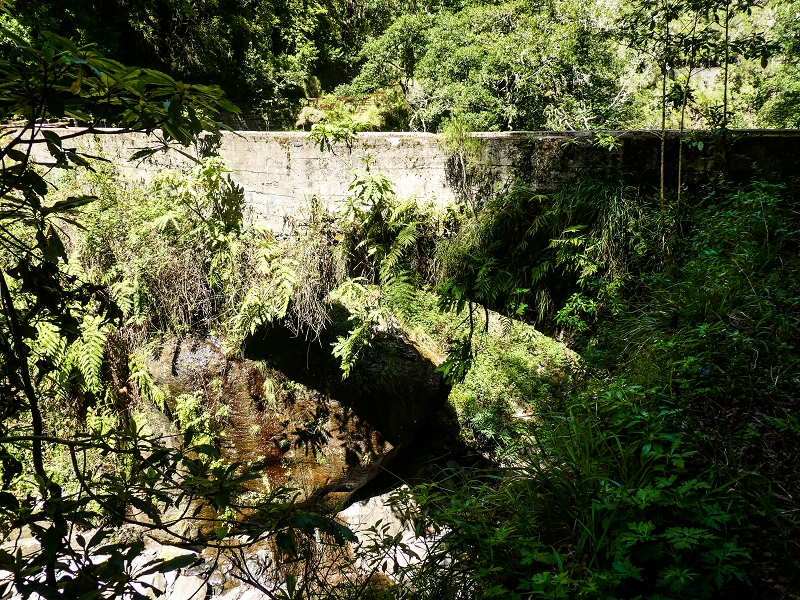 14.05.2019 Wieder einmal in einem meiner Lieblingsgebiete unterwegs: Faja da Nogueira — Die Brücke mit den beiden zuführenden Levadas — Foto 21