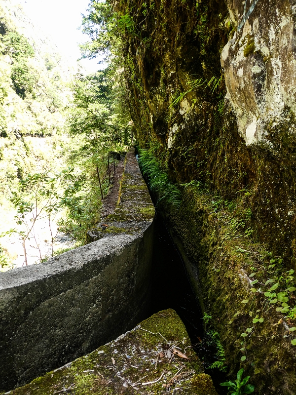 14.05.2019 Wieder einmal in einem meiner Lieblingsgebiete unterwegs: Faja da Nogueira — Die Brücke mit den beiden zuführenden Levadas — Foto 22